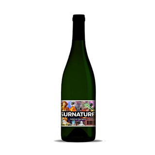 Les Vintrépides Vin bordeaux rouge sans sulfites «le surnaturel» 100% carbernet sauvignon bio 75cl - 8034